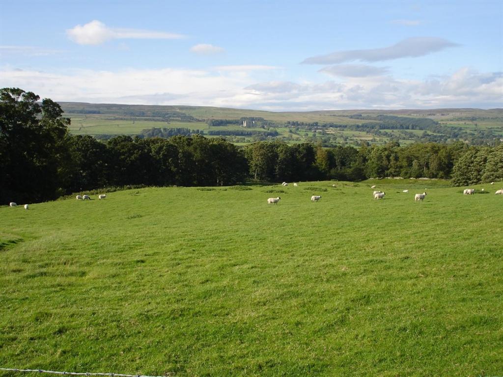 Temple Farm House Aysgarth Kültér fotó