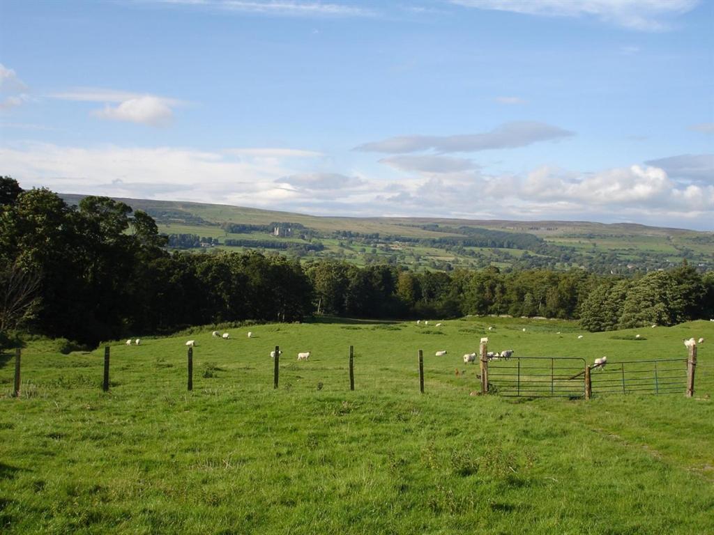 Temple Farm House Aysgarth Kültér fotó